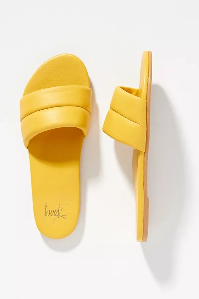 Shop Beek Sugarbird Sandals In Yellow
