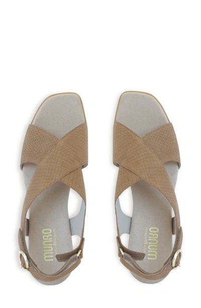 Shop Munro Jenny Sandal In Medium Tan Lizard Nubuck