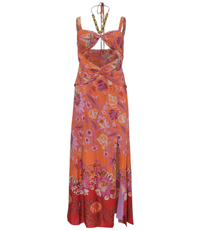 Shop Alexis Nisa Dress In Orange Blossom