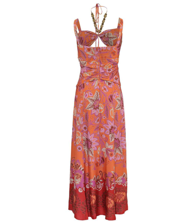 Shop Alexis Nisa Dress In Orange Blossom