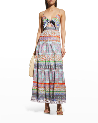 Shop Alice And Olivia Minka Tie-front Tiered Maxi Dress In Ritzymulti