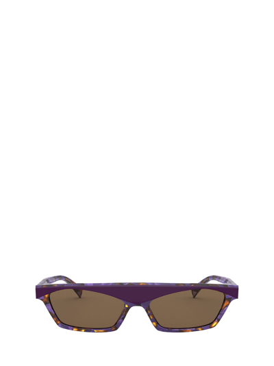 Shop Alain Mikli Sunglasses In Purple / Spotted Violet Tortoise