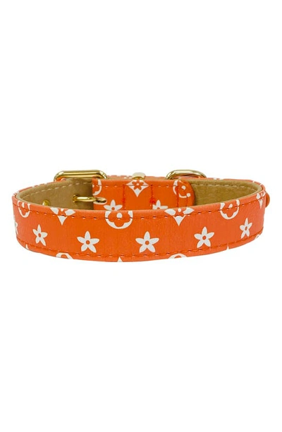 Shop Dogs Of Glamour Soho Luxury Collar Orange