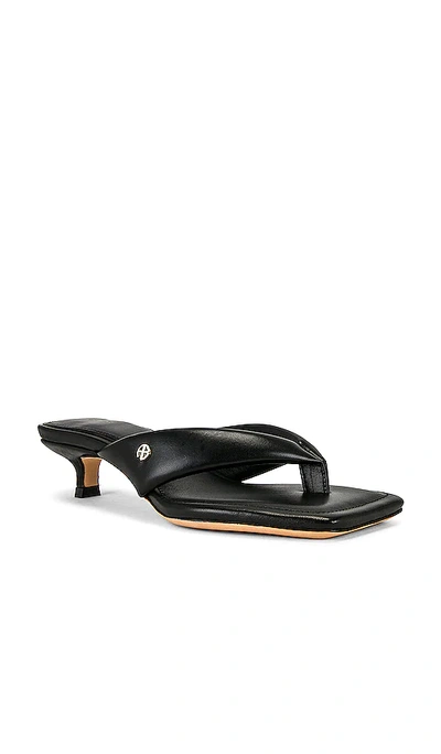 Shop Anine Bing Viola Sandals In Black