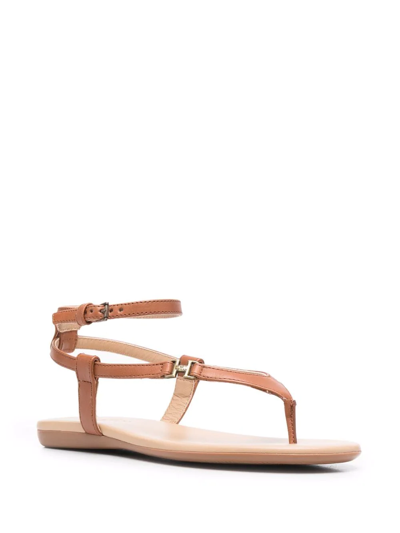Hogan Valencia Thong Sandal In Tan Leather In Braun