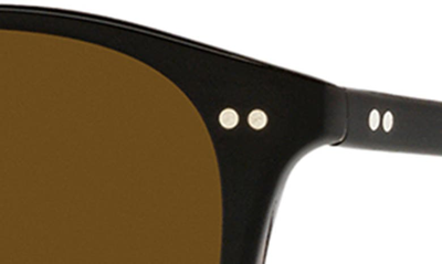 Oliver Peoples Ov5004su Riley Sun Acetate Round Sunglasses In Pol Brown