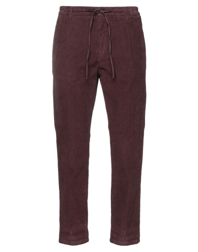Shop Daniele Alessandrini Homme Man Pants Burgundy Size 30 Cotton In Red
