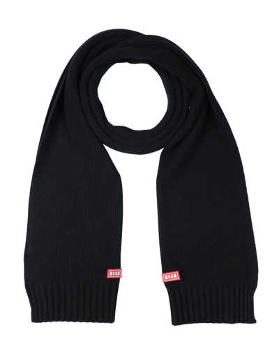 Shop Msgm Scarves In Black