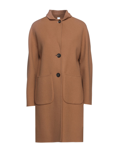 Shop Hevo Coats In Camel