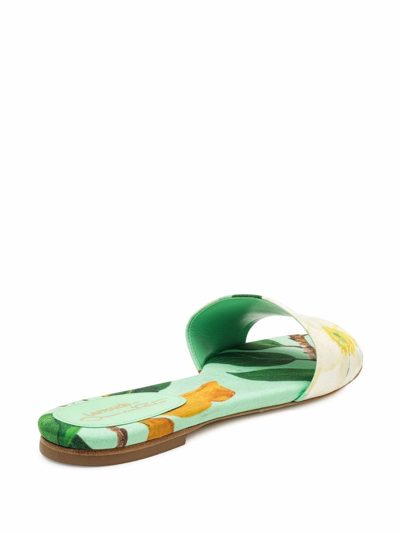Shop Oscar De La Renta Floral-print Flat Sandals In Grün