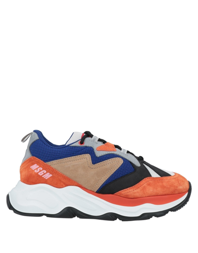 Shop Msgm Sneakers In Orange