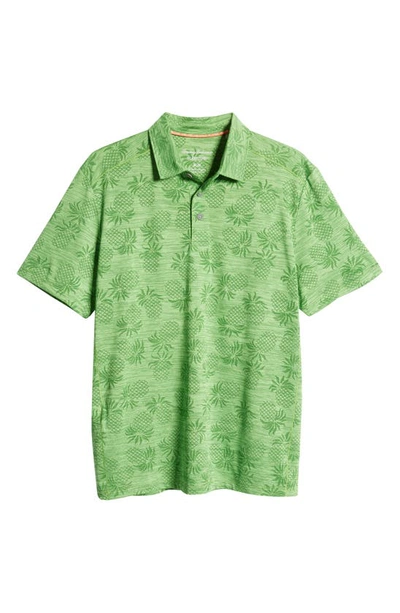 Shop Tommy Bahama Pineapple Palm Coast Short Sleeve Polo In Spring Lime