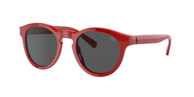 Shop Polo Ralph Lauren Man Sunglasses Ph4184 In Grey