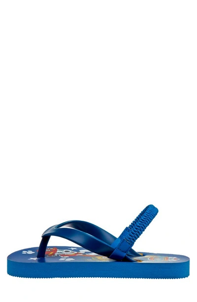 Shop Josmo Paw Patrol Flip-flop Sandal In Navy/ Blue