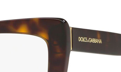 Shop Dolce & Gabbana 53mm Cat Eye Optical Glasses In Havana