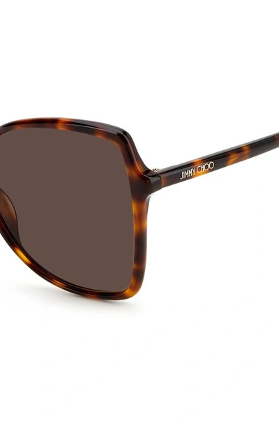 Jimmy Choo Fedes 59mm Square Sunglasses In Havana / Brown