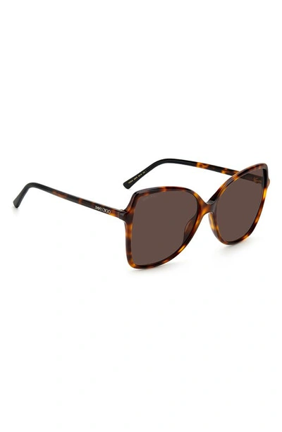 Jimmy Choo Fedes 59mm Square Sunglasses In Havana / Brown