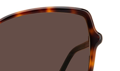 Jimmy Choo Fedes 59mm Square Sunglasses In Havana / Brown
