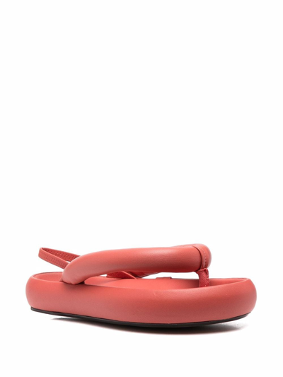 Shop Isabel Marant Thong-style Puffy Sandals In Rot