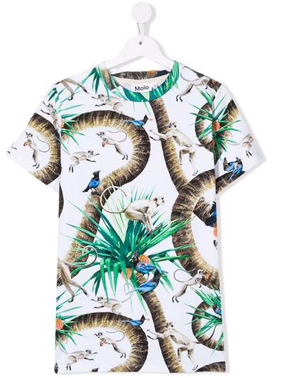 Shop Molo Teen Monkey-print Organic-cotton T-shirt In White