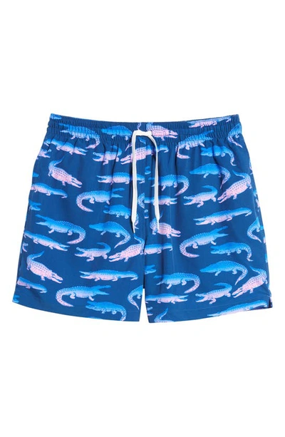 Shop Chubbies 5.5-inch Swim Trunks In The Glader Gators