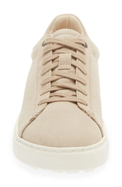 Birkenstock Womens Sandcastle Bend Low Logo-embossed Suede Low-top Trainers In Sandcastle