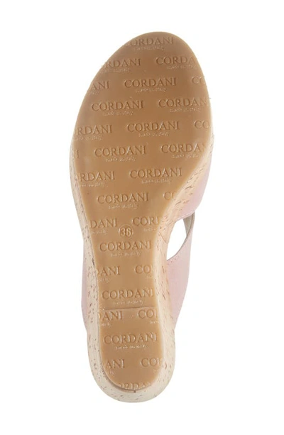 Shop Cordani Devon Platform Wedge Sandal In Blush Suede