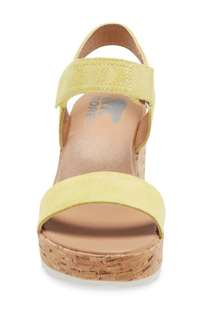Shop Sorel Cameron Wedge Sandal In Sunnyside