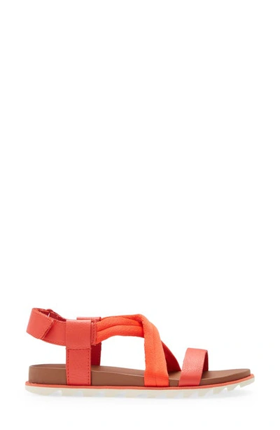 Shop Sorel Roaming Decon Strappy Sandal In Signal Red