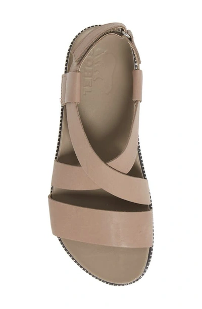 Shop Sorel Roaming Crisscross Sandal In Khaki