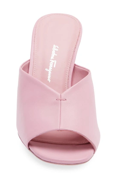 Shop Ferragamo Salvatore  Sansu F-heel Slide Sandal In Flamingo