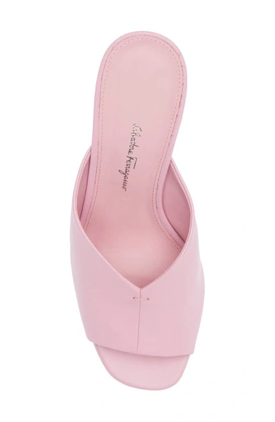 Shop Ferragamo Salvatore  Sansu F-heel Slide Sandal In Flamingo