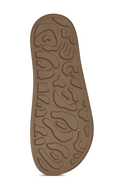 Shop Aerosoles Carmen T-strap Sandal In Olive Suede