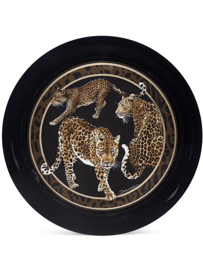 Shop Dolce & Gabbana Leopard-print Tray In Black
