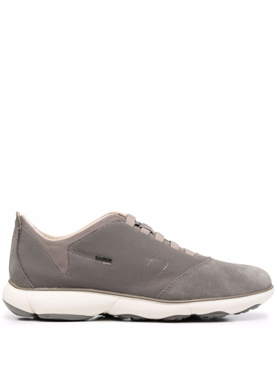 Geox Nebula Low Top Sneakers In Grau