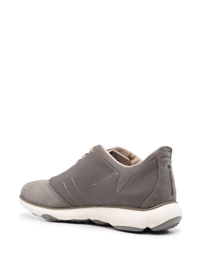 Geox Nebula Low Top Sneakers In Grau