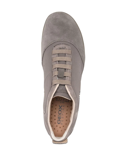 Geox Nebula Low Top Sneakers In Grau