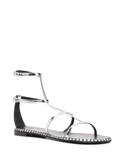 Shop Giuseppe Zanotti Bellatriks Flat Thong Sandals In Grey