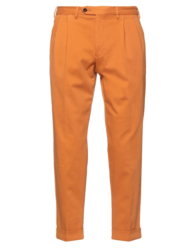 Shop Drumohr Man Pants Orange Size 32 Cotton, Elastane