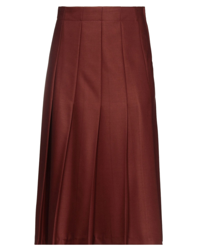 Shop Solotre Woman Midi Skirt Brown Size 4 Polyester, Viscose, Elastane