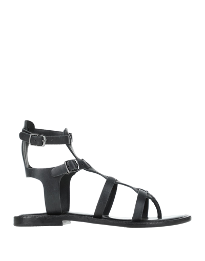 Shop Cb Fusion Woman Thong Sandal Black Size 8 Soft Leather