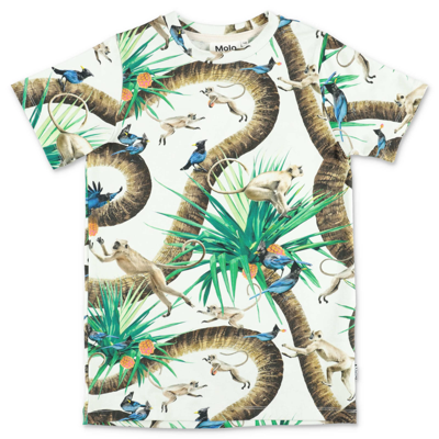 Shop Molo T-shirt Ralphie Stampa Jungle In Cotone Organico