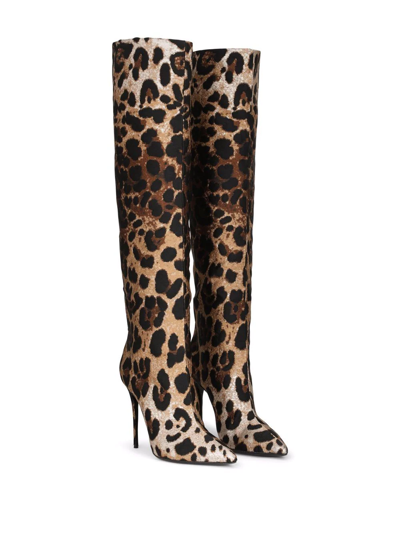Shop Dolce & Gabbana Leopard-print Jacquard Knee-length Boots In Brown