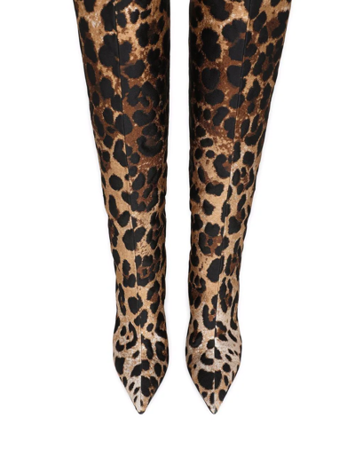 Shop Dolce & Gabbana Leopard-print Jacquard Knee-length Boots In Brown