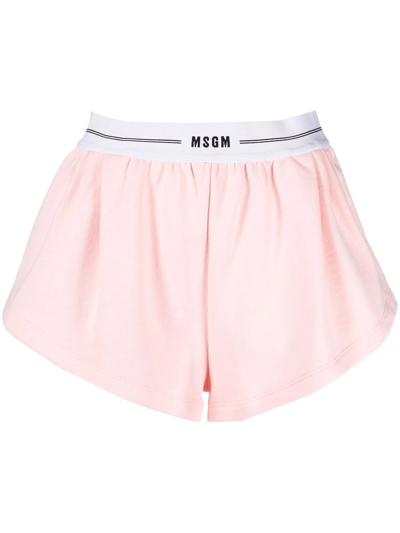 Shop Msgm Short Logo Band Shorts In Rosa