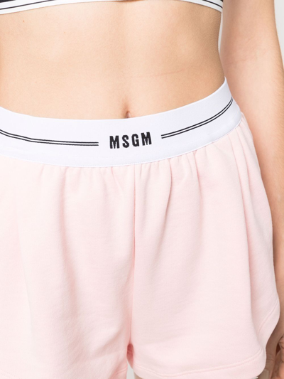 Shop Msgm Short Logo Band Shorts In Rosa