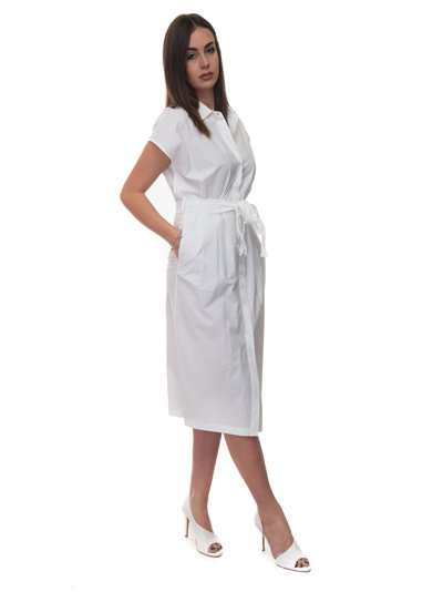 Shop Seventy Cotton Shirtwaister-dress In White
