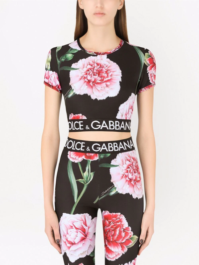Dolce & Gabbana Floral-print Cropped Logo Band T-shirt In Black