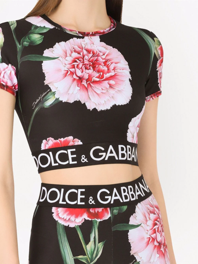 Dolce & Gabbana Floral-print Cropped Logo Band T-shirt In Black