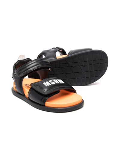 Shop Msgm Teen Logo Print Touch-strap Sandals In Black